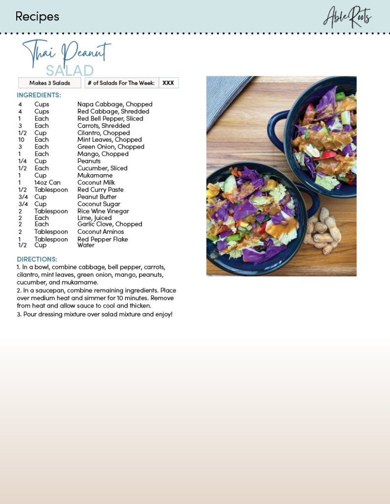 Able Roots Nutrition Plan - Thai Peanut Salad